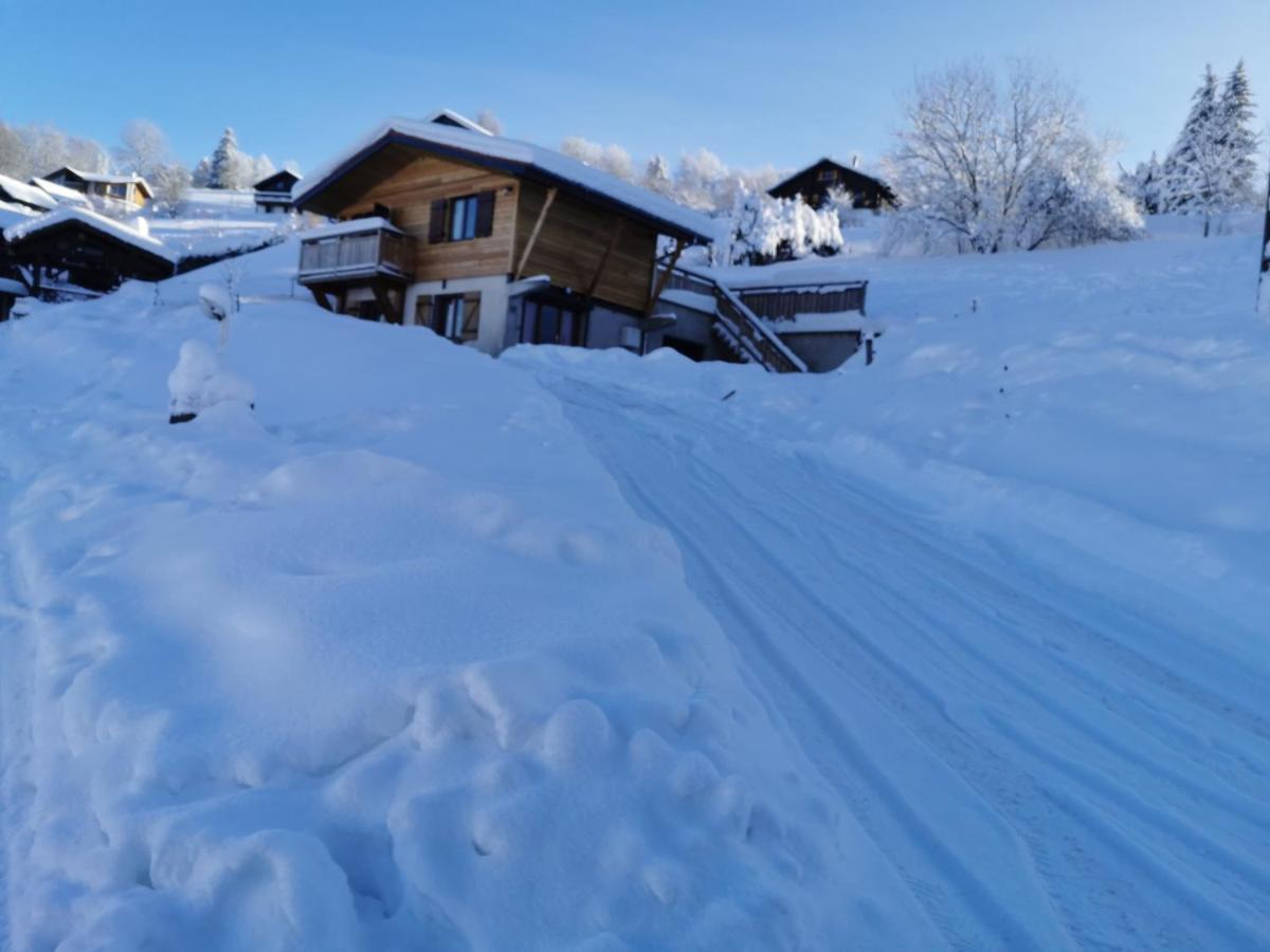 Le Chalet Du Brabant La Bresse Zewnętrze zdjęcie